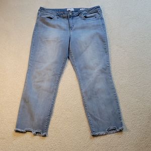 William Rast Skinny Ankle Jeans